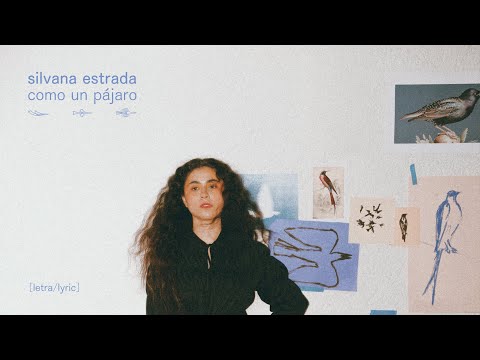 Silvana Estrada — Como Un Pájaro [Cover Audio + Letra]