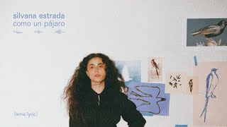 Como Un Pájaro Lyrics English Translation