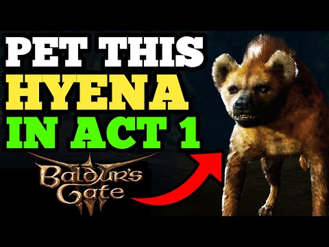 7 Extremely Rare Interactions You Missed // Baldur's Gate 3