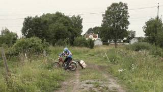 Den svenska björnstammen - Ledig