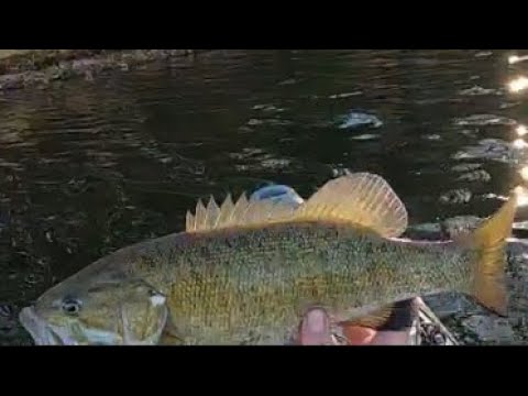 Bass Fishing Woods Reservoir in the Middle of Winter