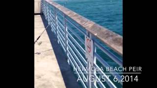 preview picture of video 'Pier Fishing at Hermosa Beach'