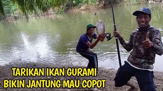 Download lagu STRIKE GURAMI SUNGAI BATANG MASANG MEMANG JOOSS || BUMI MINANG CHANNEL mp3