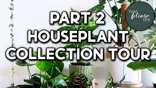 INDOOR PLANT Collection Tour (Over 50+ Houseplants! Part 2)