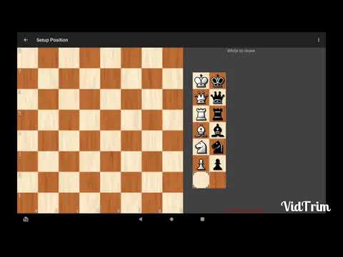 Morphy's Games of Chess Morphy's vs Thompson Ending