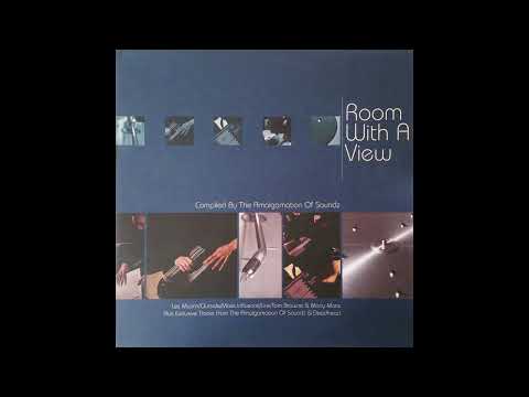 The Amalgamation Of Soundz - Room With A View [1999]