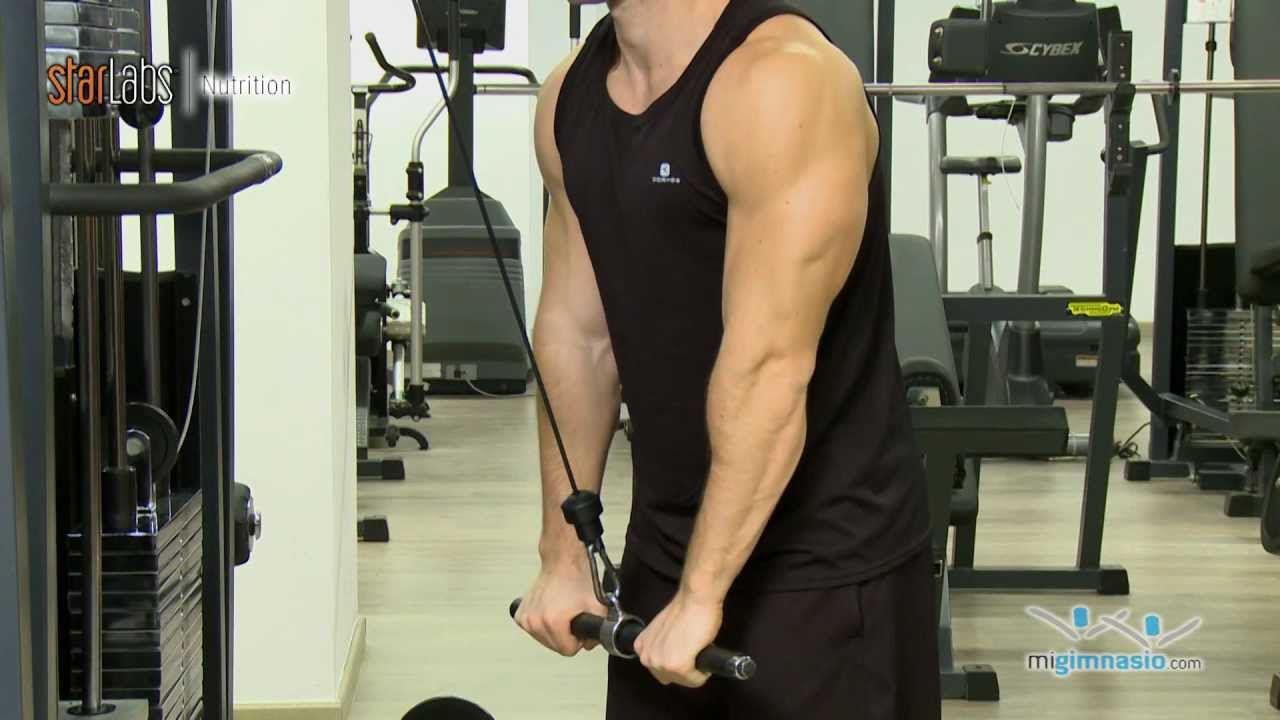 Extension de triceps con polea alta
