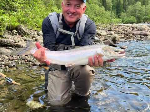 Salmon Pools On The NFC River Gaula