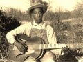 Mississippi Fred McDowell-What's The Matter With Papa's Little Angel