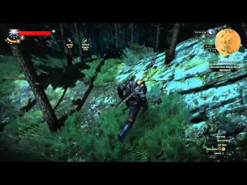 The Witcher 3 Wild Hunt (PC) Cheathrough - Pt. 56