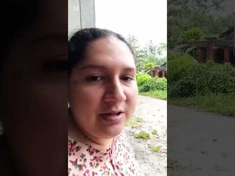 día de lluvia en la selva de Tocache, San Martín. Perú