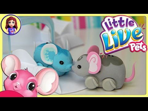 , title : 'Little Live Pets Lil' Mouse House Trail two Mice Chatter Smooch Unboxing Review Play - Kids Toys'