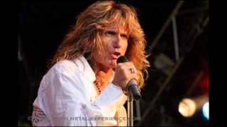whitesnake sweet talker
