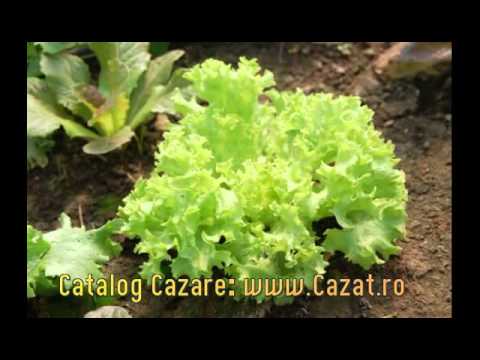 Cazare Fisici, Buzau - Cazat.ro