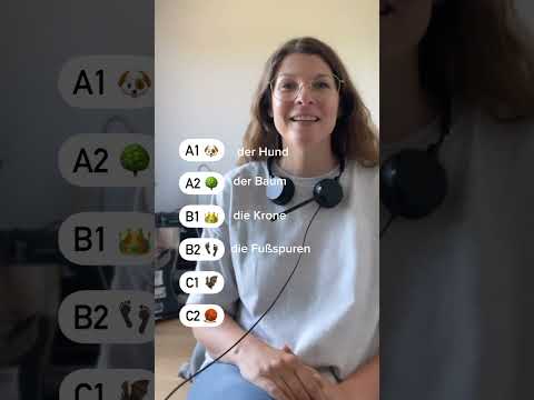 Teste dein Deutsch! A1 A2 B1 B2 C1 C2 #deutschlernen #aleman #germanteacher #wortschatz #learngerman