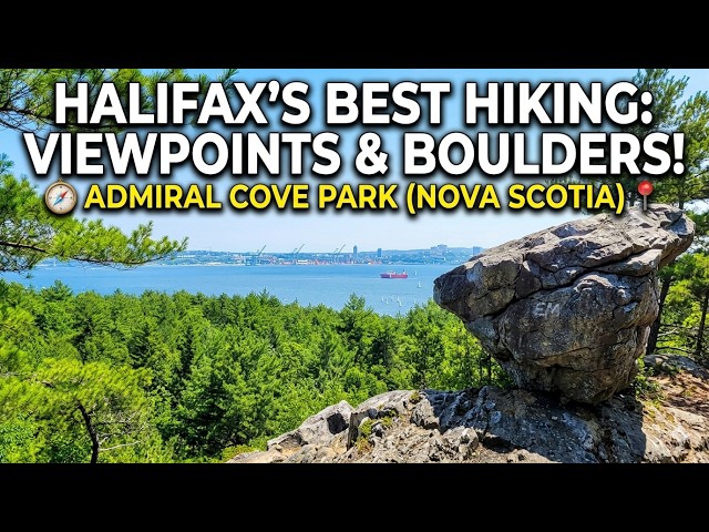 Trail Video Preview