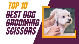 Top 10 Best Dog Grooming Scissors in 2024 - Professional Dog Grooming Scissors