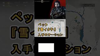 【Crimson Desert 紅の砂漠】ペット 『雪イタチ』 の入手方法について紹介 #紅の砂漠 #CrimsonDesert #紅の砂漠攻略 #アクションRPG