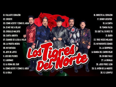 2 Hora De Puros Corridos De Los Tigres Del Norte Éxitos - Los Tigres Del Norte Mix 2024 Pa Pistear