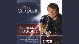 I&#39;m So Lonesome I Could Cry (Live)