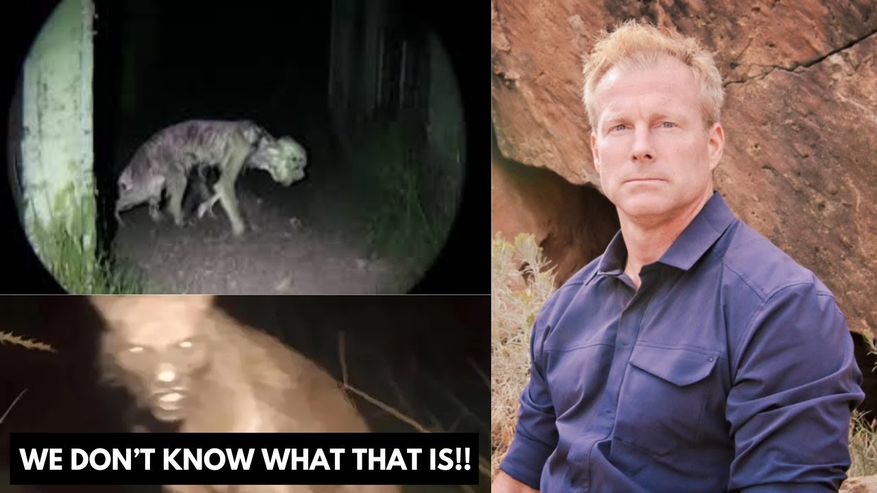 YouTube Thumbnail Downloader FULL HQ IMAGE