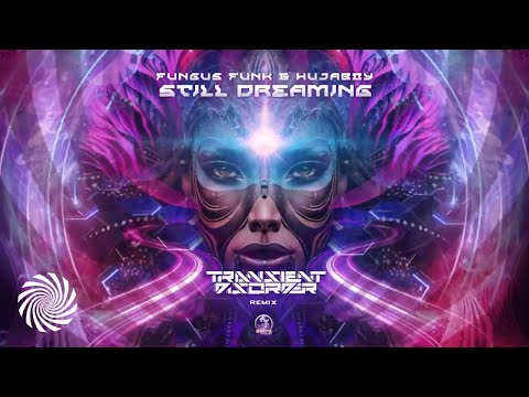 Fungus Funk & Hujaboy - Still Dreaming (Transient Disorder Remix)