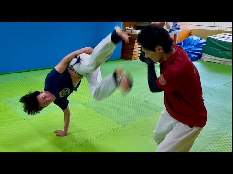 異種格闘技交流 試し合い稽古会 PART 1 | Saito kaikan 2026