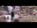 Dj Alvin Kokku Meena Purehhh