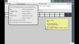 Sabre Red 360 GDS - PF Keys - Text prompts examples