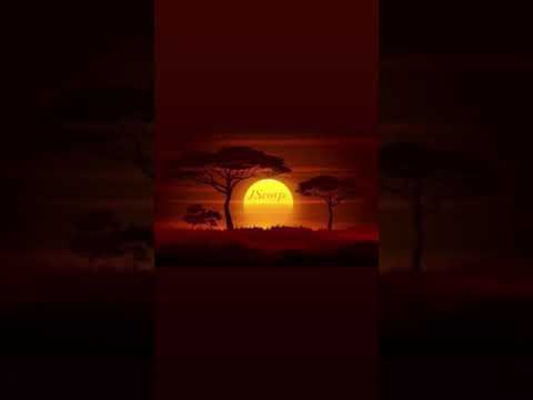 « Way bigger » JScorp