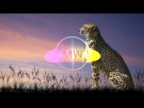 Rave Radio - Make It Better ft. Go Comet (Walston Mix)