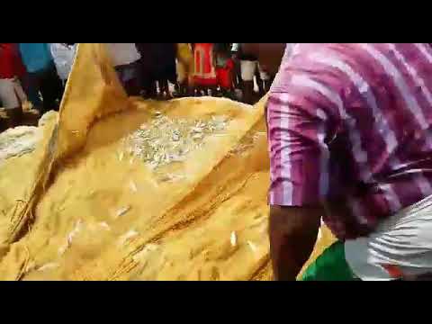 Fishing at shankumukham beach Trivandrum
