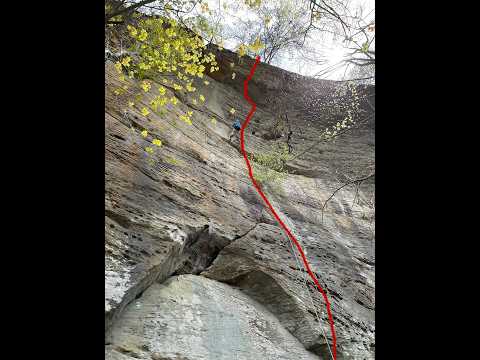 Joy in the Morning 5.12C (ish), CFRP Red River Gorge, KY