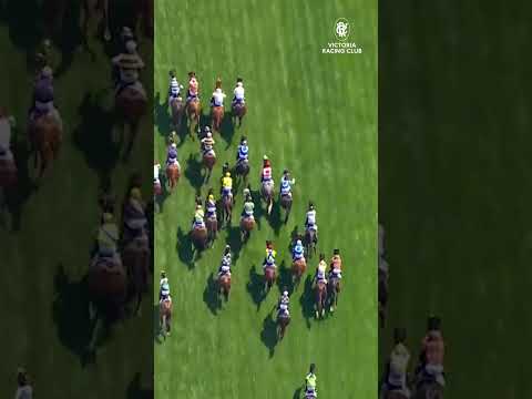 Can You Spot The Melbourne Cup Winner?