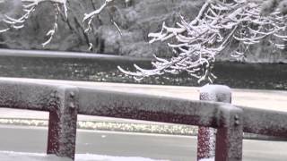 Tarrega - Capricho Arabe - Andres Segovia