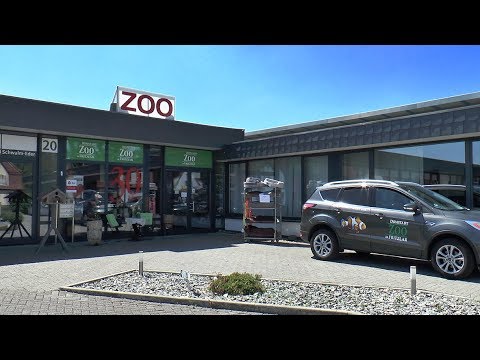 Domstadt Zoo Fritzlar Imagefilm