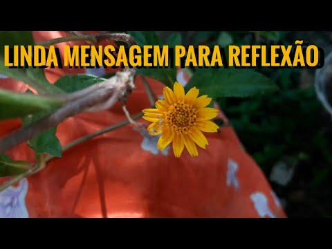 MENSAGEM DO DIA / SALMOS 119 DO 65 AO 72.....PENSANDO CORETAMENTE...