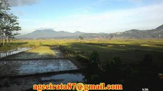 Download lagu Tembang kenangan - Bunga sedap malam mp3
