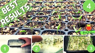 Best way to germinate pepper seeds | Gardening Tips