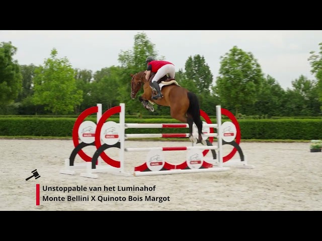 Unstoppable van het Luminahof