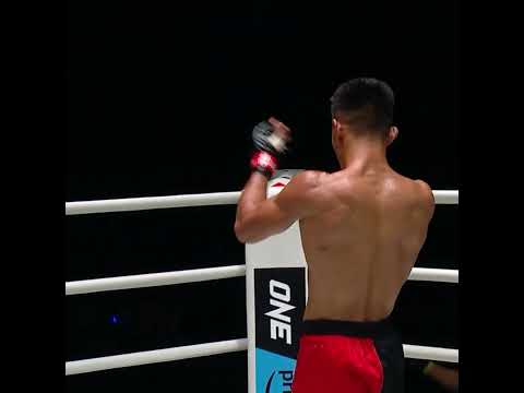タン・カイ👑がシャミル・ガサノフ🇷🇺を強烈なカーフキック & パウンドでTKO🤯
