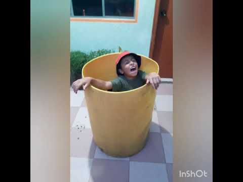 representación de simon el bobito