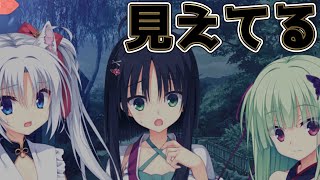 【実況】私たちの姿が見えるのですか！？＃17【千恋万花】