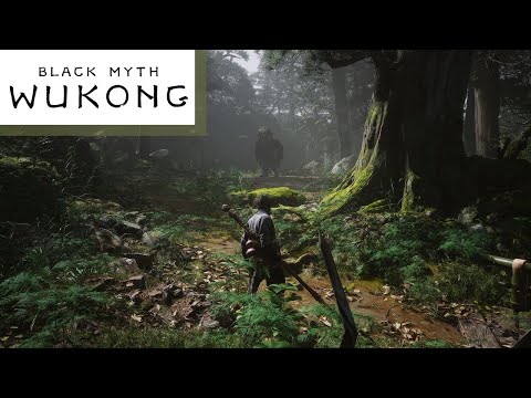 Pain to Shine: Black Myth: Wukong