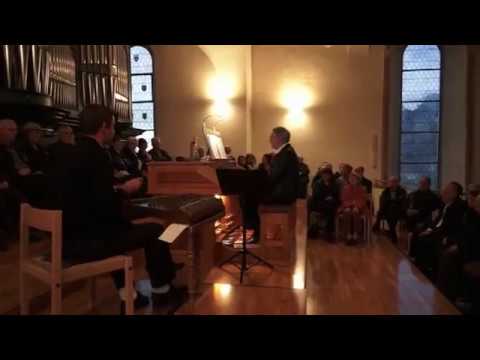 Nicolas Senn und Markus Kühnis - Marcha  de Zacatecas von Genaro Codina - Hackbrett und Orgel