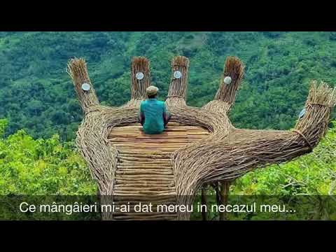 Ce mângâieri mi-ai dat mereu în necazul meu