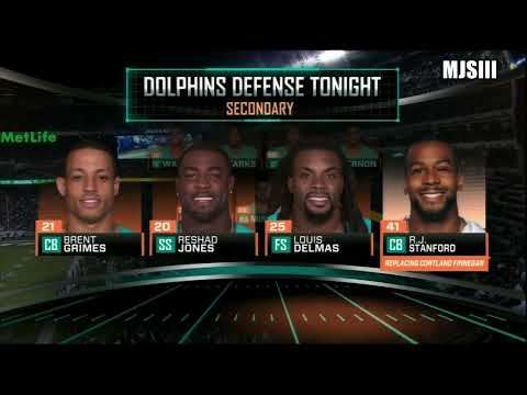 2014 week 13 Miami Dolphins at New York Jets