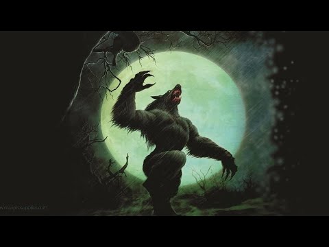 What They Don't Tell You About Lycanthropy - D&D