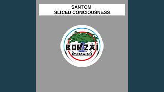 Sliced Conciousness (Original Mix)