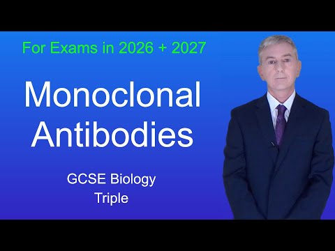 GCSE Biology Revision "Monoclonal Antibodies" (Triple)